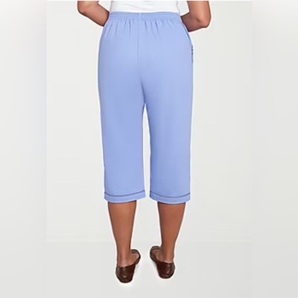 Alfred Dunner Santa Fe Women’s Stretch Fabric Straight Fit Iris Size 12 New - Picture 15 of 15